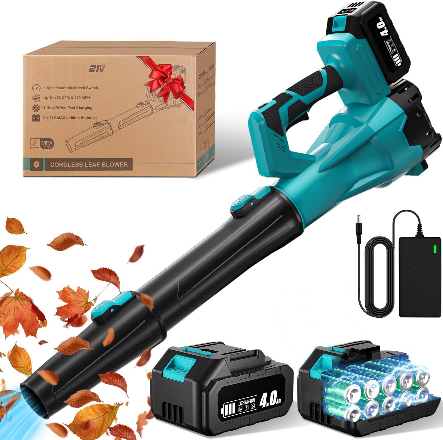 Lithium ion hair dryer