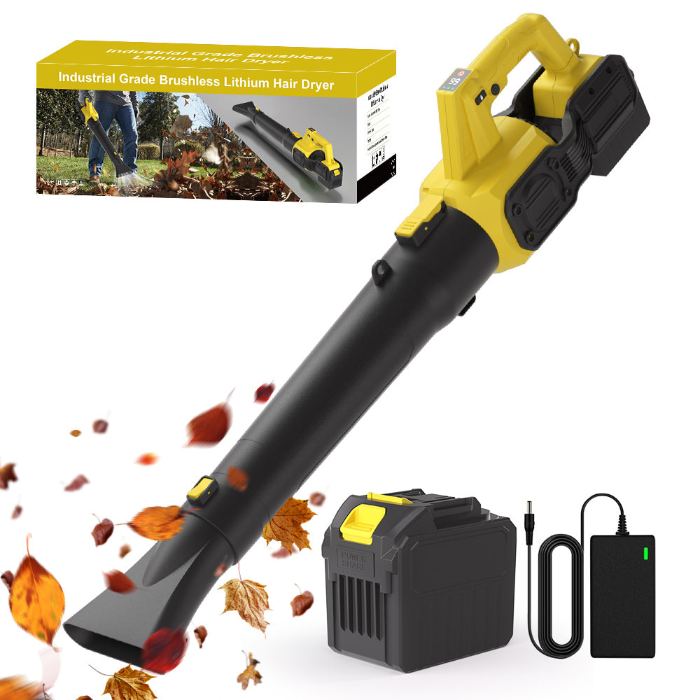 Cordless leaf blower Lithium ion hair dryer