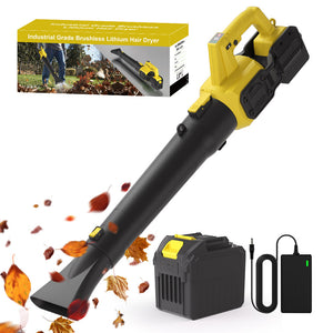 Cordless leaf blower Lithium ion hair dryer