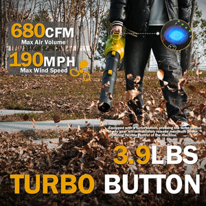 Lithium ion hair dryer