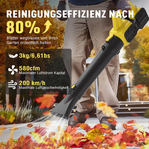 Cordless leaf blower Lithium ion hair dryer