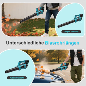 Lithium ion hair dryer