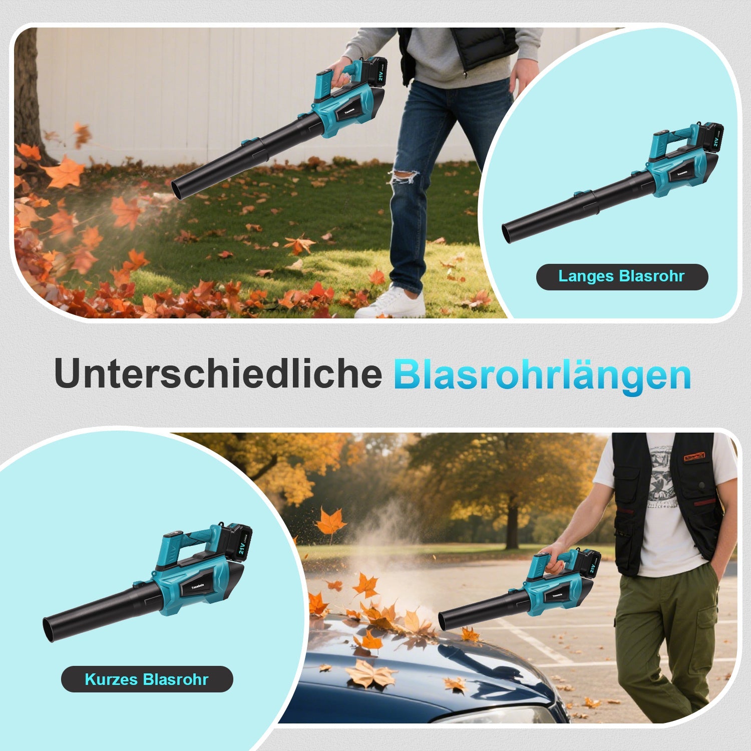 Lithium ion hair dryer