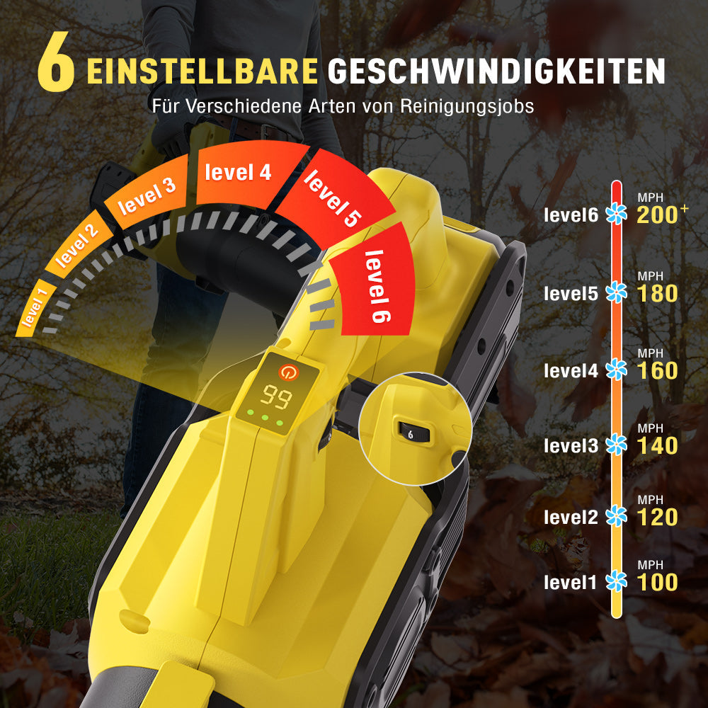 Cordless leaf blower Lithium ion hair dryer