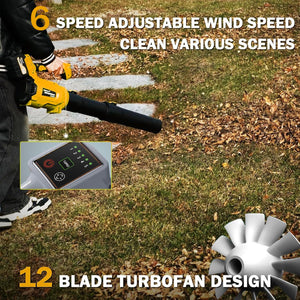 Lithium ion hair dryer