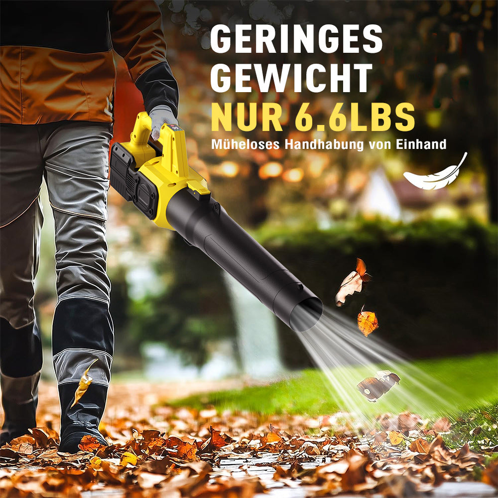 Cordless leaf blower Lithium ion hair dryer