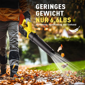 Cordless leaf blower Lithium ion hair dryer
