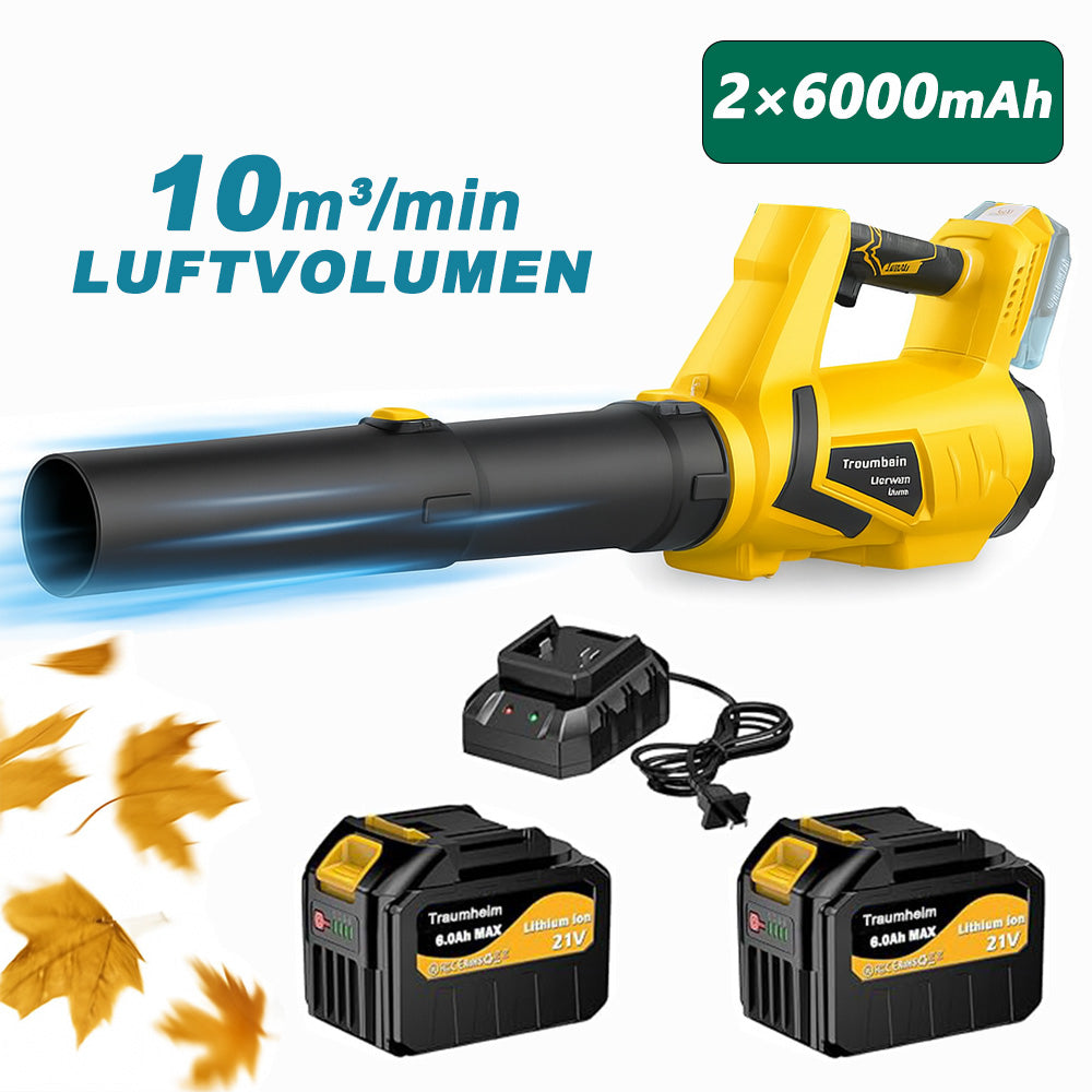 Cordless leaf blower Lithium ion hair dryer