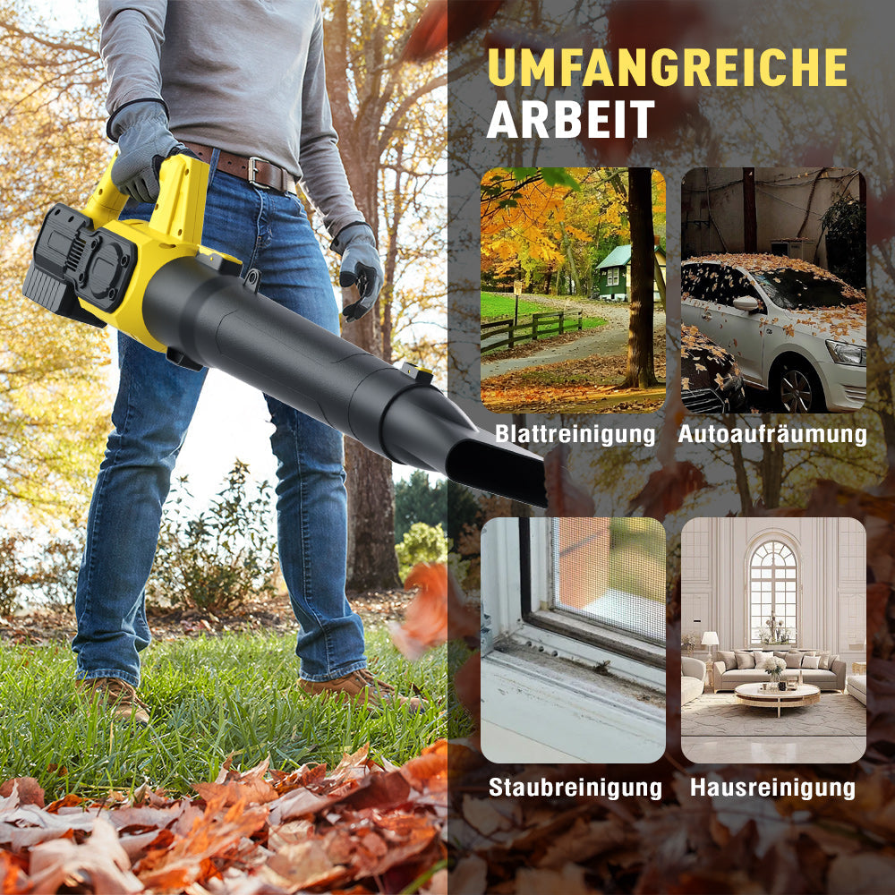Cordless leaf blower Lithium ion hair dryer
