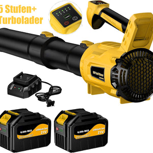 Lithium ion hair dryer