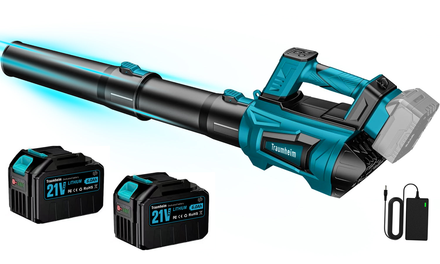 Lithium ion hair dryer