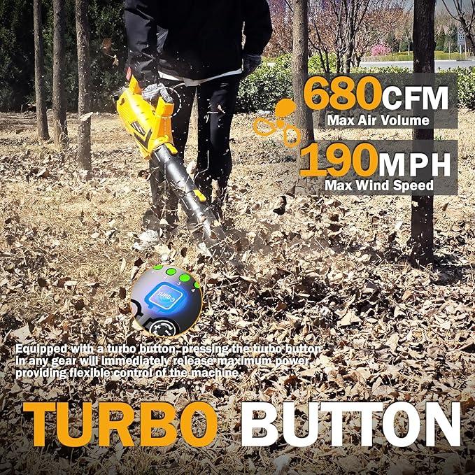 Cordless leaf blower Lithium ion hair dryer