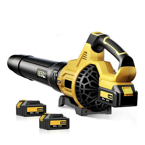 Lithium ion hair dryer