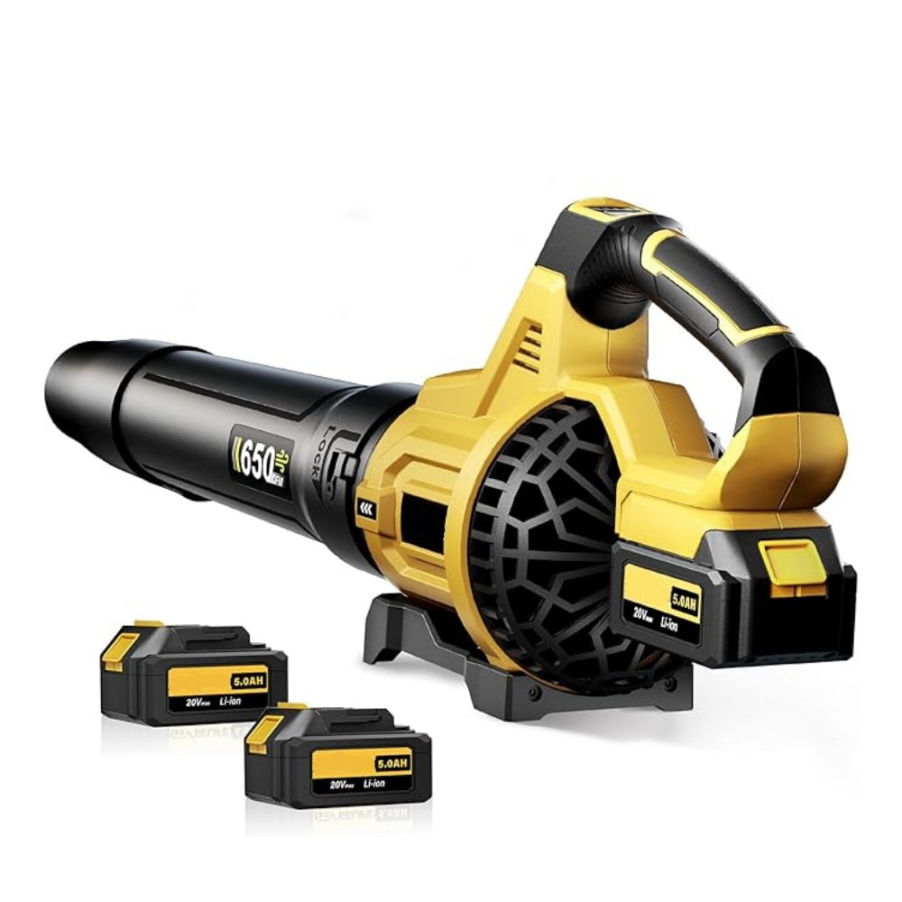 Lithium ion hair dryer