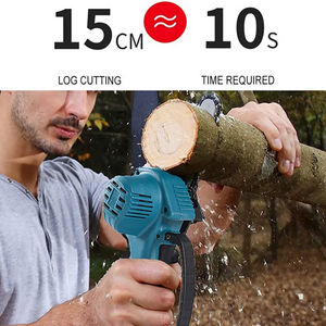 Lithium electric chainsaw