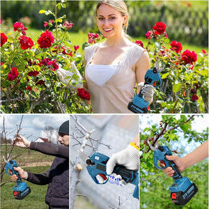 Lithium ion hair dryer