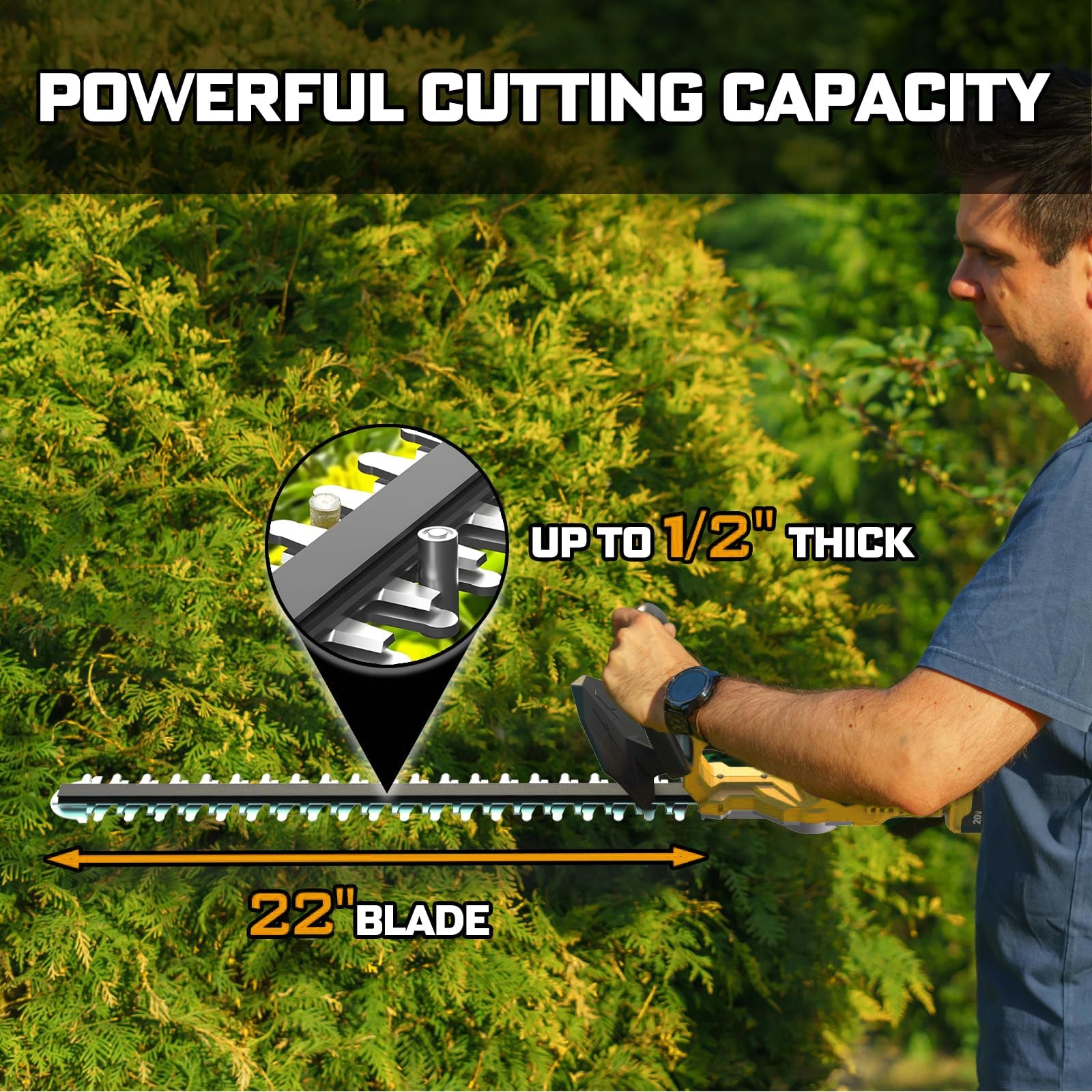 Lithium ion hedge trimmer