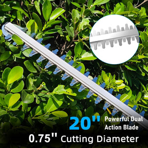 Lithium ion hedge trimmer