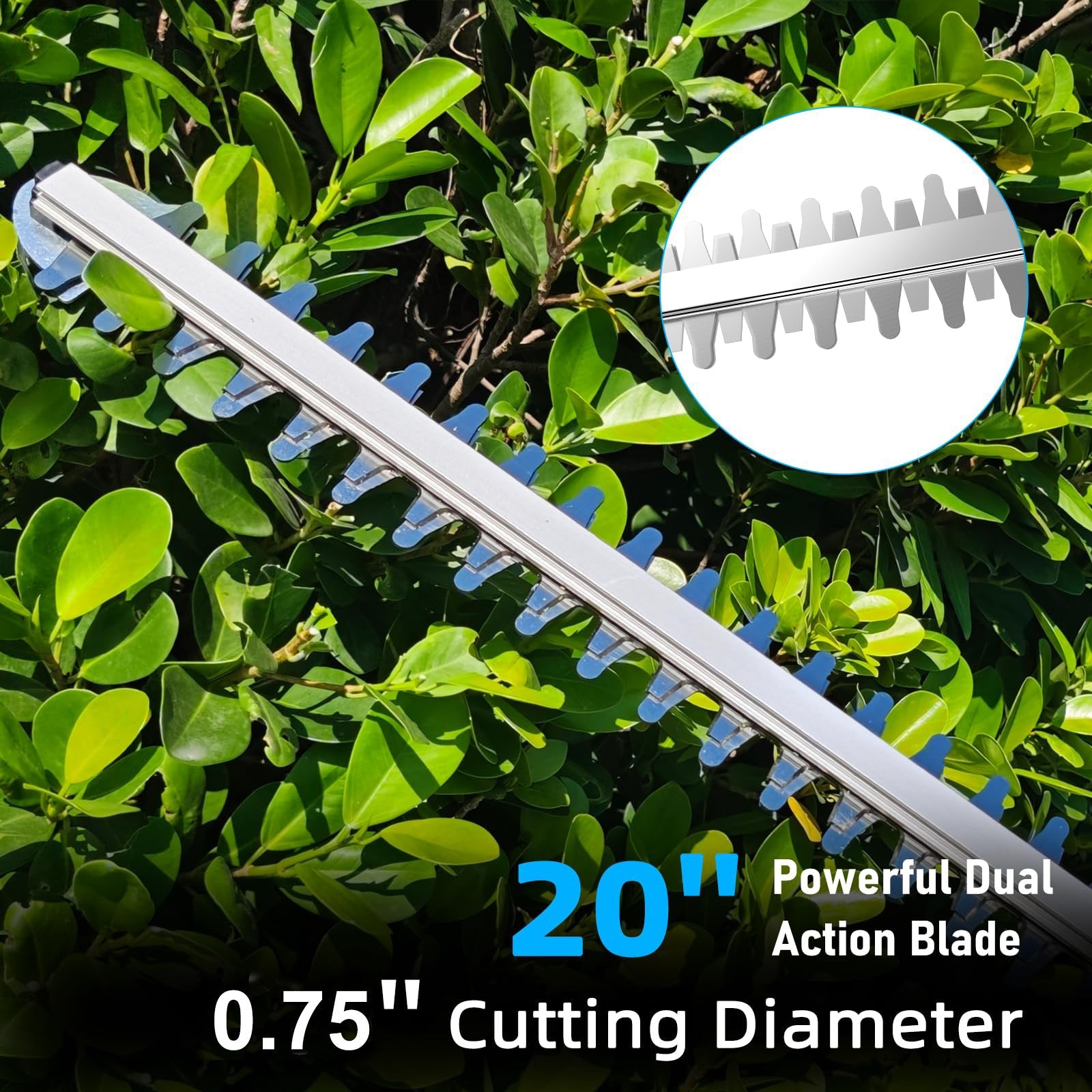 Lithium ion hedge trimmer