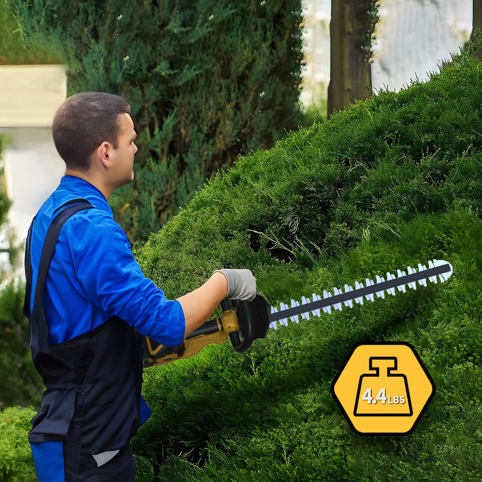 Lithium ion hedge trimmer